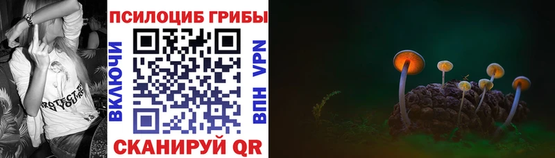 Псилоцибиновые грибы GOLDEN TEACHER Новоаннинский