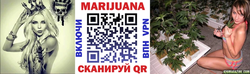 Марихуана White Widow цены наркотик Новоаннинский